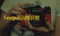 Seagull远程获取通讯录APP/相册/短信/双端/全开源海外版